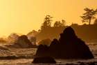 USA, California, Crescent City. Seastack along coastline at sunset Art Print